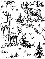 Paint Roller #2368 - Grazing Deer
