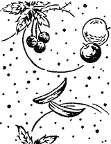 Paint Roller #2938 - Hanging Fruit