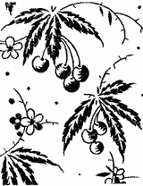 Paint Roller #4041 - Berries
