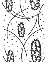 Paint Roller #4073 - Oval Wreaths